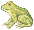 frog